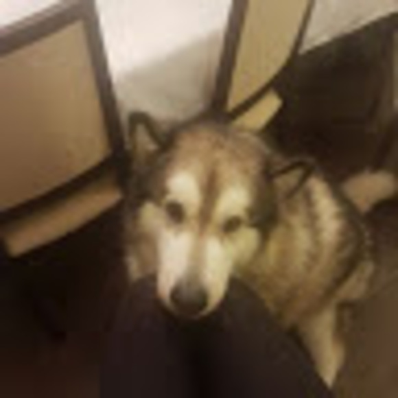 Meet your Posher, C - Picture 1 of 1